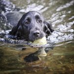 66710545_10159294422567837_3703694567292272640_n.jpg 66710545_10159294422567837_3703694567292272640_n.jpg