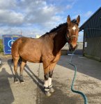 92399552-0C7C-4AD3-A16D-EBD9D709B873.jpeg 92399552-0C7C-4AD3-A16D-EBD9D709B873.jpeg