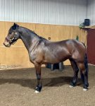 CF3B487F-F5B9-46EA-A9F5-D23163A9512A.jpeg CF3B487F-F5B9-46EA-A9F5-D23163A9512A.jpeg