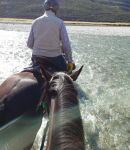 1674442528191.png 1674442528191.png