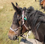 1674442925584.png 1674442925584.png