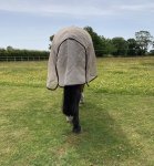 CE824C2B-B515-4100-967C-72BFA8B8F822.jpeg CE824C2B-B515-4100-967C-72BFA8B8F822.jpeg