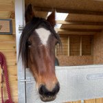 1FD5F288-1CD4-42FF-B5A5-09BDAE301E43.jpeg 1FD5F288-1CD4-42FF-B5A5-09BDAE301E43.jpeg