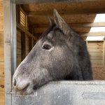 C04AC2FC-3AAC-49ED-BD72-45275B05BA92.jpeg C04AC2FC-3AAC-49ED-BD72-45275B05BA92.jpeg