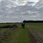 56858A30-B923-470E-8B1E-B5BEEACA0429.jpeg 56858A30-B923-470E-8B1E-B5BEEACA0429.jpeg