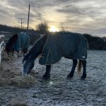 048C07E4-A40A-4E9B-B64C-EB1CF18A5EC4.jpeg 048C07E4-A40A-4E9B-B64C-EB1CF18A5EC4.jpeg