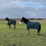 57A5EAEF-FFFB-42E6-990C-4F49E42AB974.jpeg 57A5EAEF-FFFB-42E6-990C-4F49E42AB974.jpeg