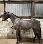 3FCA497D-14AB-4400-A2B3-C029037C981B.jpeg 3FCA497D-14AB-4400-A2B3-C029037C981B.jpeg