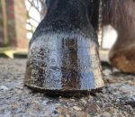 329451547_1189249451705414_6250709463072926203_n.jpg 329451547_1189249451705414_6250709463072926203_n.jpg