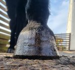 329555123_504078605132519_1546462833540074499_n.jpg 329555123_504078605132519_1546462833540074499_n.jpg