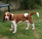 4CED0546-0E14-4180-B8DE-752E07D13DC3.jpeg 4CED0546-0E14-4180-B8DE-752E07D13DC3.jpeg