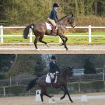 97E27C32-BEFE-4FBC-90E0-3FCC407B6407.jpeg 97E27C32-BEFE-4FBC-90E0-3FCC407B6407.jpeg