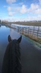 wet fields and drive.jpg