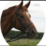 Screenshot_20230328-205138_Facebook.jpg Screenshot_20230328-205138_Facebook.jpg