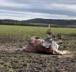 image_6487327 (1).JPG