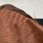 Screenshot 2023-03-29 at 16.09.30.png