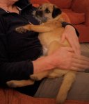 IMG_20200325_200102138(2).jpg IMG_20200325_200102138(2).jpg