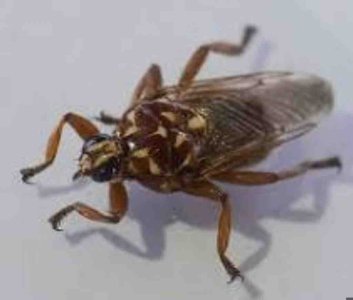 Screenshot 2023-04-07 at 10.48.03 PM.jpg