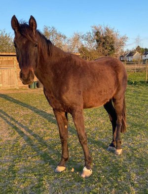 338625235_201101939296919_9196289763050622192_n.jpg 338625235_201101939296919_9196289763050622192_n.jpg