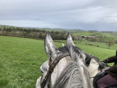 0331FBF2-A31D-4C66-AD0B-040B86900398.jpeg 0331FBF2-A31D-4C66-AD0B-040B86900398.jpeg