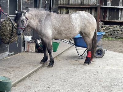 91092F81-56F3-40C9-8415-CF2CF87F7D83.jpeg 91092F81-56F3-40C9-8415-CF2CF87F7D83.jpeg