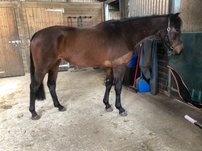 21F9BC58-A413-42C3-A2DD-EC9F5472CCD6.jpeg 21F9BC58-A413-42C3-A2DD-EC9F5472CCD6.jpeg