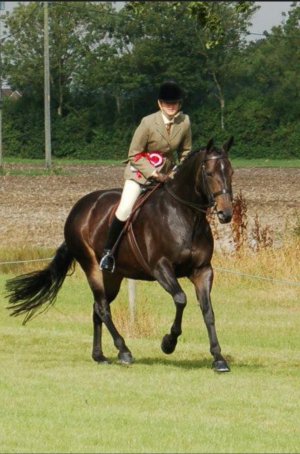 271441036_10159702399222184_4524013863995712473_n.jpg 271441036_10159702399222184_4524013863995712473_n.jpg