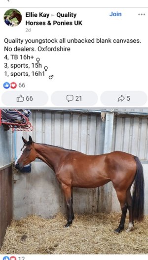 7C741CC2-6600-4990-8203-BF6AF4B13B40.jpeg 7C741CC2-6600-4990-8203-BF6AF4B13B40.jpeg