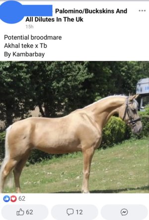 34D74F9D-B26A-40C2-A2F3-70D9306F40FB.jpeg 34D74F9D-B26A-40C2-A2F3-70D9306F40FB.jpeg