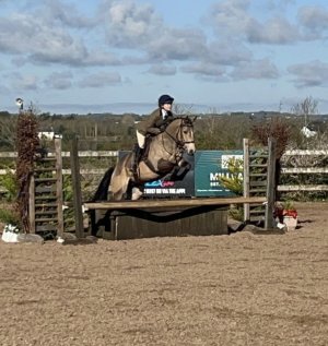 BD8DA724-ADE8-41CF-B0CB-79171AA1DB94.jpeg BD8DA724-ADE8-41CF-B0CB-79171AA1DB94.jpeg