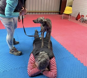 2C4D6208-93FB-4CF2-83BB-069684C6EE49.jpeg 2C4D6208-93FB-4CF2-83BB-069684C6EE49.jpeg