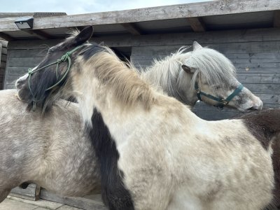 31D9136B-D9ED-41E9-BFB5-9C86B3B330D6.jpeg 31D9136B-D9ED-41E9-BFB5-9C86B3B330D6.jpeg