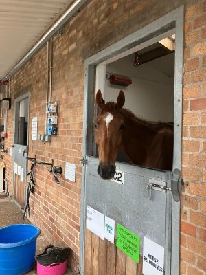 20230417_094909.jpg 20230417_094909.jpg