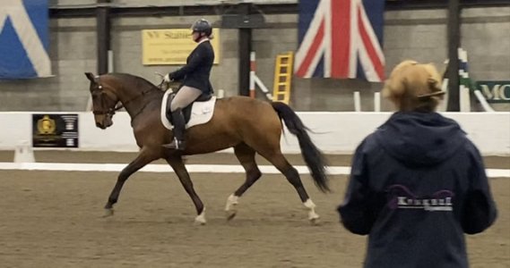 F3BD7328-8C46-4B86-8DE2-6E48927D70FE.jpeg F3BD7328-8C46-4B86-8DE2-6E48927D70FE.jpeg