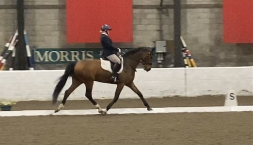 4D1DC729-8439-4437-83AC-17AC685E6928.jpeg 4D1DC729-8439-4437-83AC-17AC685E6928.jpeg