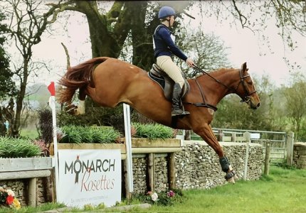 IMG_1181.jpeg IMG_1181.jpeg