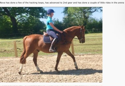 IMG_1200.jpeg IMG_1200.jpeg