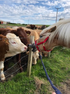 9FC1EB3B-9B7D-403E-9D10-FA394C77A080.jpeg 9FC1EB3B-9B7D-403E-9D10-FA394C77A080.jpeg