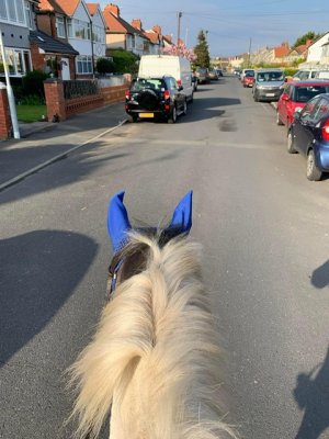 149F6D94-67E6-4D42-8005-F8297F90581D.jpeg 149F6D94-67E6-4D42-8005-F8297F90581D.jpeg