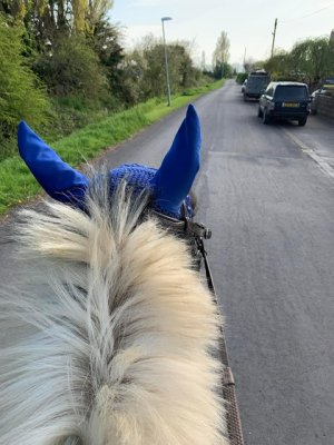 EF027793-CF5A-4272-B5EB-2444E46D8EAC.jpeg EF027793-CF5A-4272-B5EB-2444E46D8EAC.jpeg