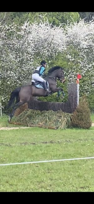 IMG-6214.jpg IMG-6214.jpg