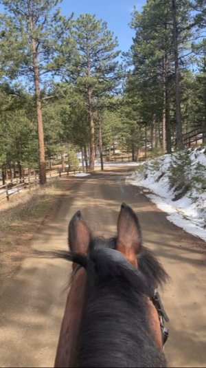 72CAC3E3-83D8-4859-A845-C8DB8F0799F9.jpeg 72CAC3E3-83D8-4859-A845-C8DB8F0799F9.jpeg