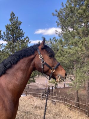 72F095FC-C872-4581-A6FA-3AD2165B07C1.jpeg 72F095FC-C872-4581-A6FA-3AD2165B07C1.jpeg