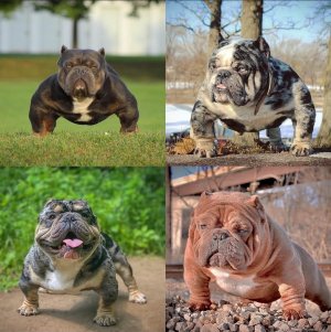 hqcs57de8fn71.jpg copy.jpg hqcs57de8fn71.jpg copy.jpg