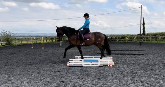 WE clinic Apr 23.jpeg WE clinic Apr 23.jpeg