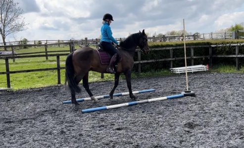 WE clinic Apr 23 2.jpeg WE clinic Apr 23 2.jpeg