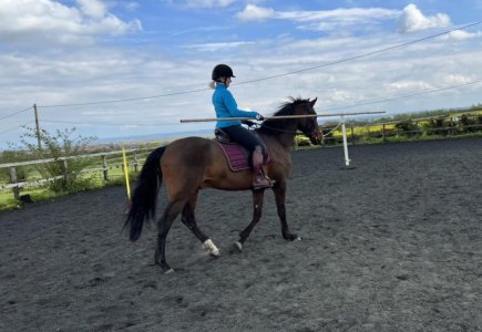 WE clinic Apr 23 3.jpeg WE clinic Apr 23 3.jpeg