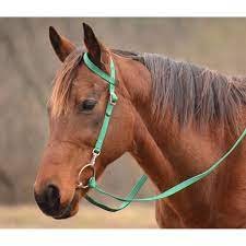 1682354942038.jpeg 1682354942038.jpeg