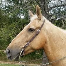 1682355009259.jpeg 1682355009259.jpeg