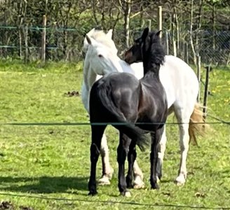 68012136-77DC-4E67-BCBE-11BF8BBB4728.jpeg 68012136-77DC-4E67-BCBE-11BF8BBB4728.jpeg